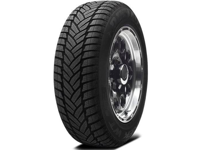  265/55 R19 H109 Dunlop Grandtrek WT M3