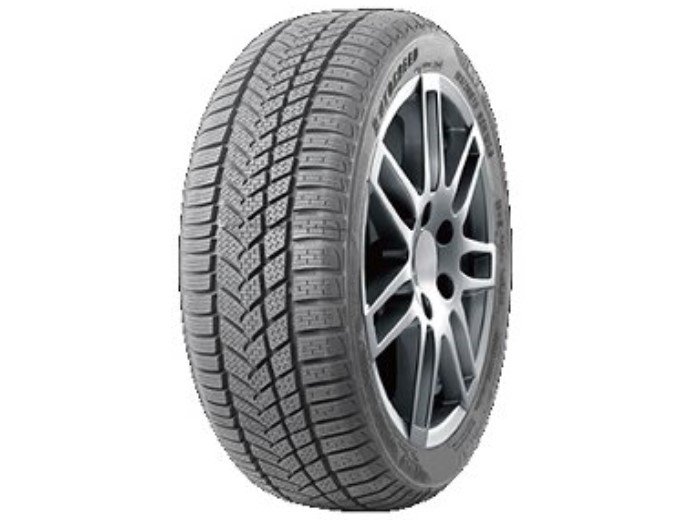  315/35 R20 V110 Autogreen WINTERMAX A1 WL5